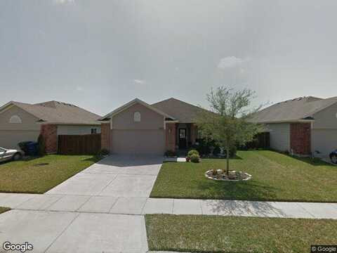 Purplewing, CORPUS CHRISTI, TX 78414