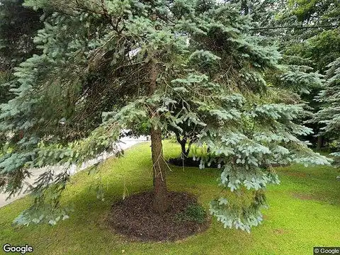 Red Pine, ERIE, PA 16506
