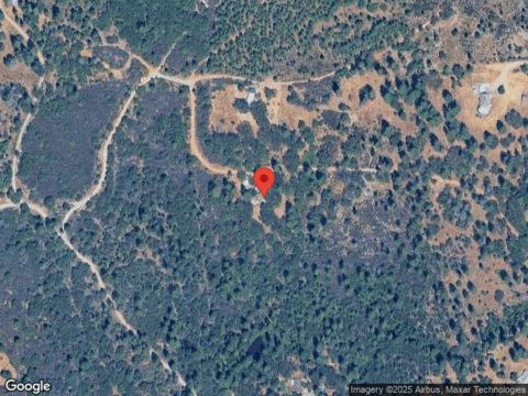 Red Tail Hawk, NEVADA CITY, CA 95959
