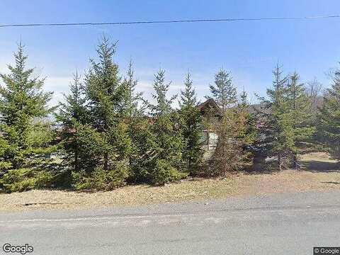 Sterling, NEWFOUNDLAND, PA 18445