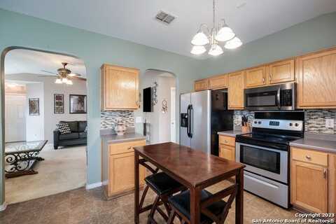 Connemara, SAN ANTONIO, TX 78254