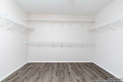 Shumard Oak, SAN ANTONIO, TX 78223
