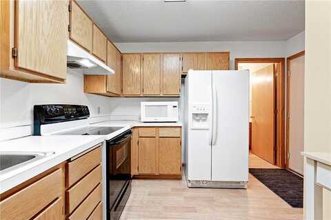 Hemingway, COTTAGE GROVE, MN 55016