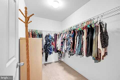 Blossom, HANOVER, PA 17331