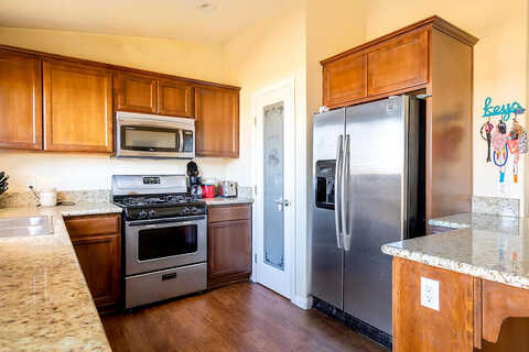 Baileya, TWENTYNINE PALMS, CA 92277