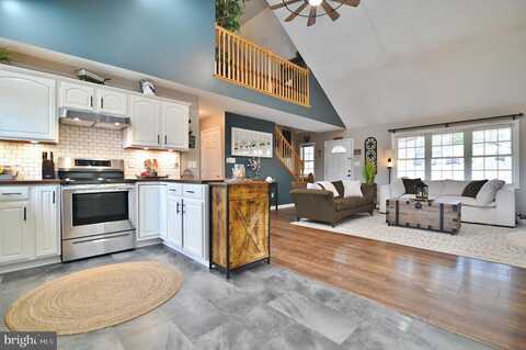 Pine, MOUNT JACKSON, VA 22842