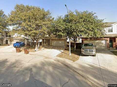 Dandelion, SAN ANTONIO, TX 78245