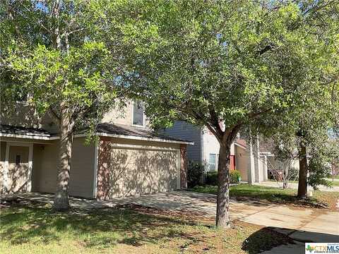 Coriander, SAN ANTONIO, TX 78253
