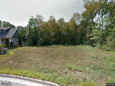 Orchid, SAINT CLOUD, MN 56301