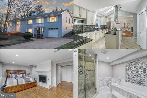 Dalhouse, SPRINGFIELD, VA 22151