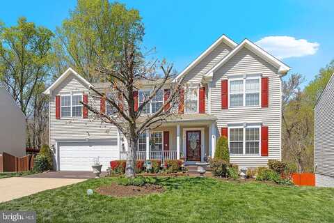 Webb, STAFFORD, VA 22556