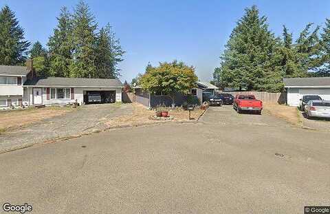 Ginkgo, TILLAMOOK, OR 97141