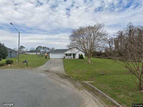 Saddlebred, VALDOSTA, GA 31605