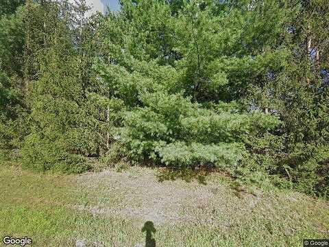 Narcissus, ISANTI, MN 55040