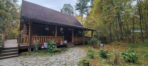 Hemlock, MILLVILLE, PA 17846