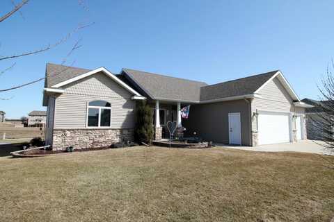 Gray Fox, OWATONNA, MN 55060