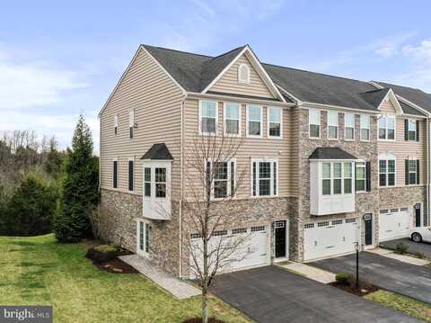 Hornbeam, LAKE FREDERICK, VA 22630