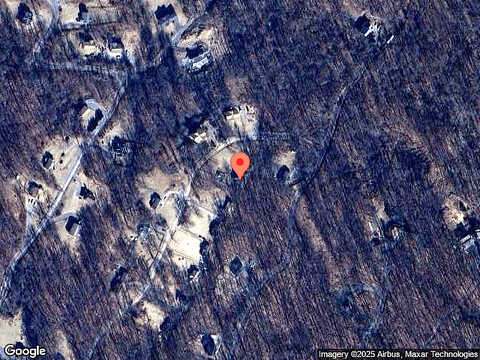 Tulip Poplar, LINDEN, VA 22642