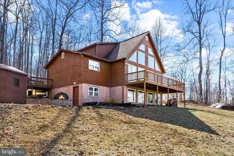Tulip Poplar, LINDEN, VA 22642