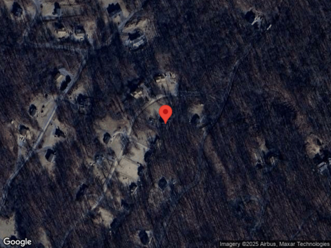 Tulip Poplar, LINDEN, VA 22642
