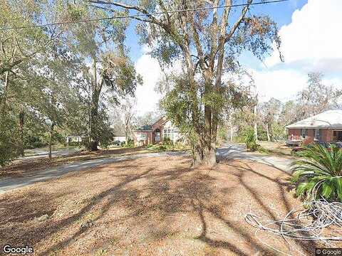 Hammock, LAKE PARK, GA 31636