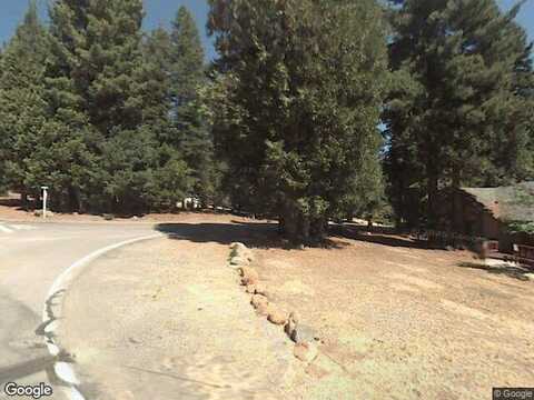 Conifer, WESTWOOD, CA 96137