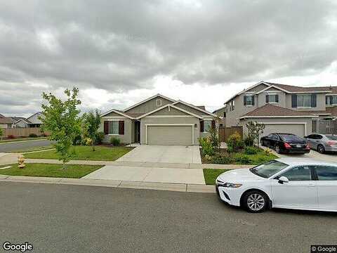 Seedling, MARYSVILLE, CA 95901