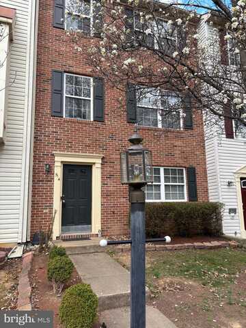 Clint, FREDERICKSBURG, VA 22405