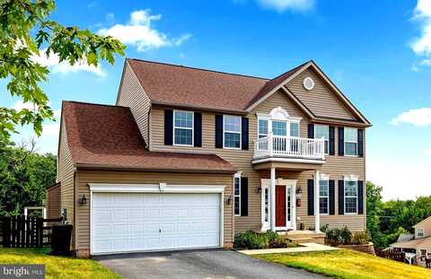 Fortress, WINCHESTER, VA 22603