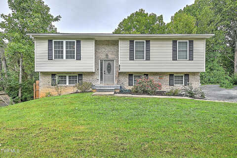 Sapling Grove, BRISTOL, VA 24201