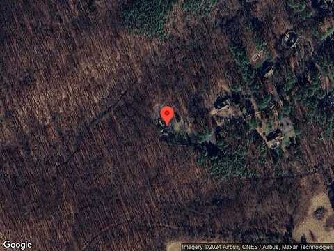 Loblolly, CHARLOTTESVILLE, VA 22903