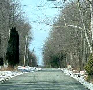 White Pine, LAKE ARIEL, PA 18436