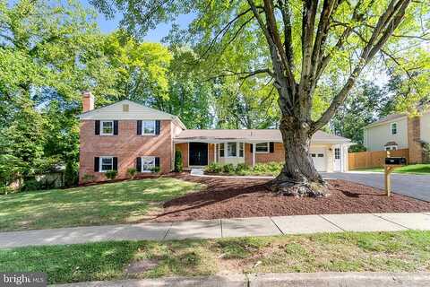 Side Saddle, SPRINGFIELD, VA 22152