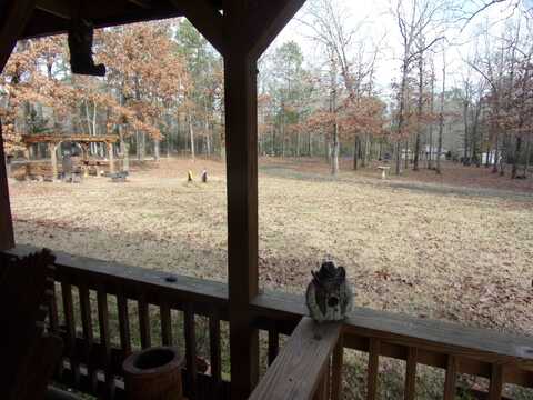 Angela, HEMPHILL, TX 75948