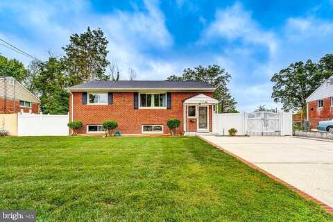 Ash, SPRINGFIELD, VA 22150
