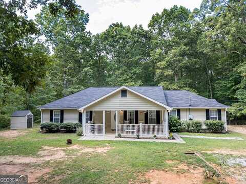 Hawk, NEWBORN, GA 30056