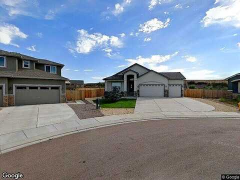 Bee Balm, COLORADO SPRINGS, CO 80925