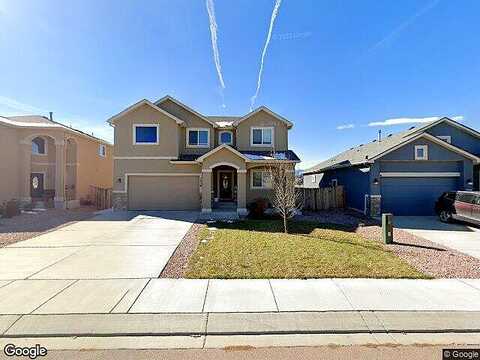 Bigtooth Maple, COLORADO SPRINGS, CO 80925