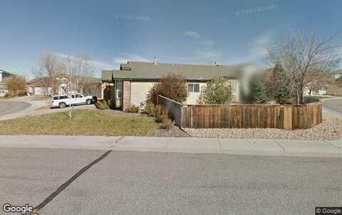 Leopard, LONE TREE, CO 80124
