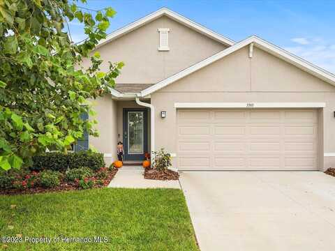 Autumn Amber, SPRING HILL, FL 34609