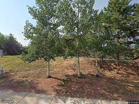 Lake, WOODLAND PARK, CO 80863