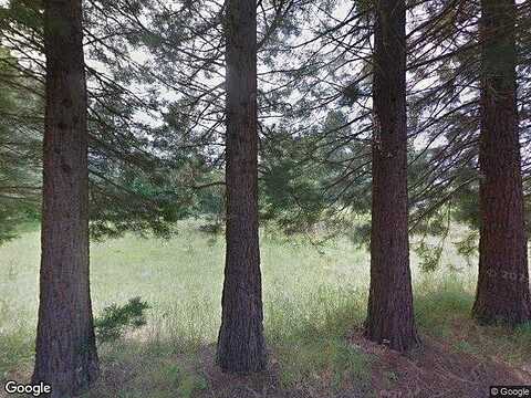 Schemmel, SILVERTON, OR 97381