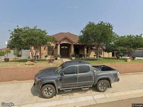 Mango, ZAPATA, TX 78076