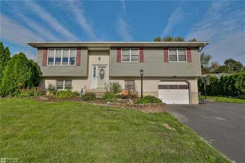 Carbon, WALNUTPORT, PA 18088