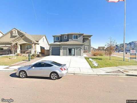 Bigtooth Maple, COLORADO SPRINGS, CO 80925