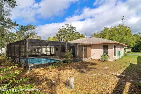Blackhawk, SPRING HILL, FL 34606