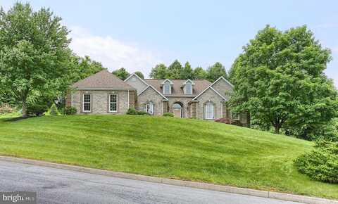 Whitetail, LEWISBERRY, PA 17339
