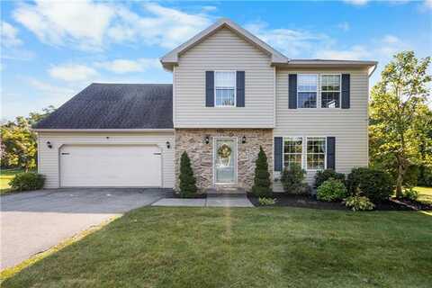 Chapmans, ALLENTOWN, PA 18104