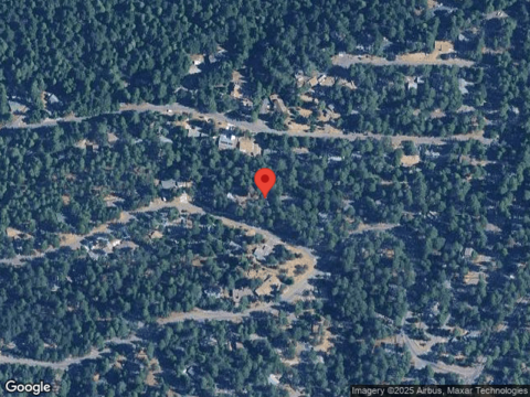 Lupin, POLLOCK PINES, CA 95726