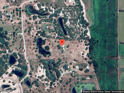 Bear, LAKE PLACID, FL 33852